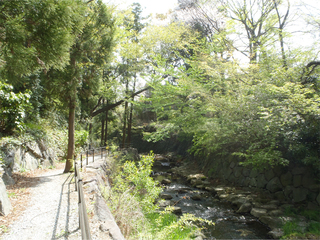 南川渓谷.jpg